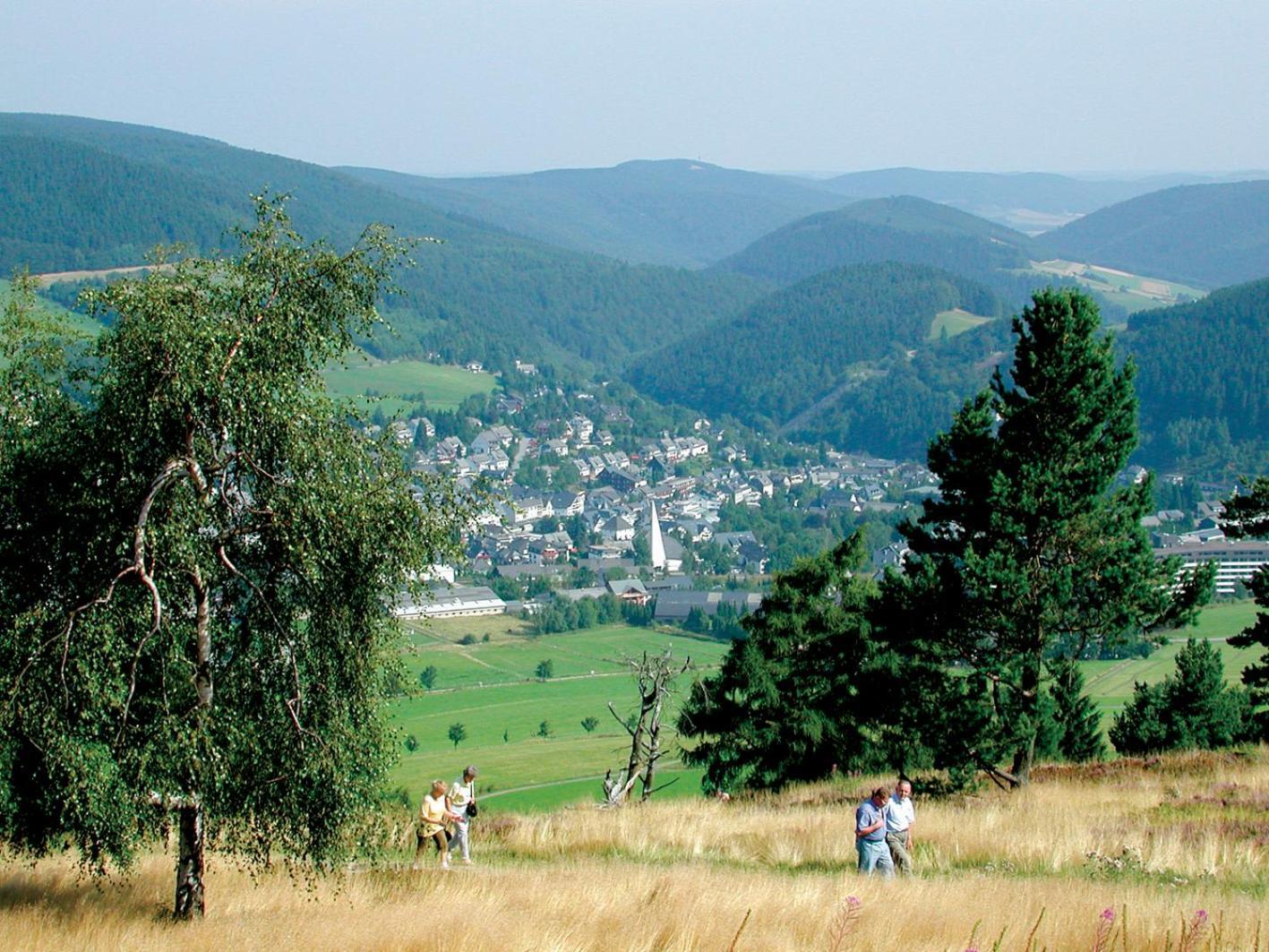 Ferienwohnung Beim Skihang Willingen  Exterior photo